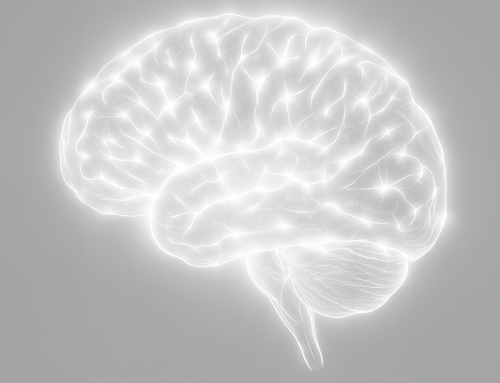 Neuroplastizität & Longevity